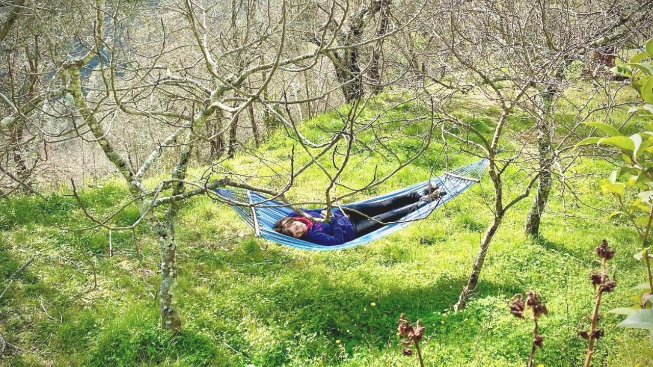 Benvenuti Nel Sud Bed & Breakfast Sessa Cilento Екстериор снимка