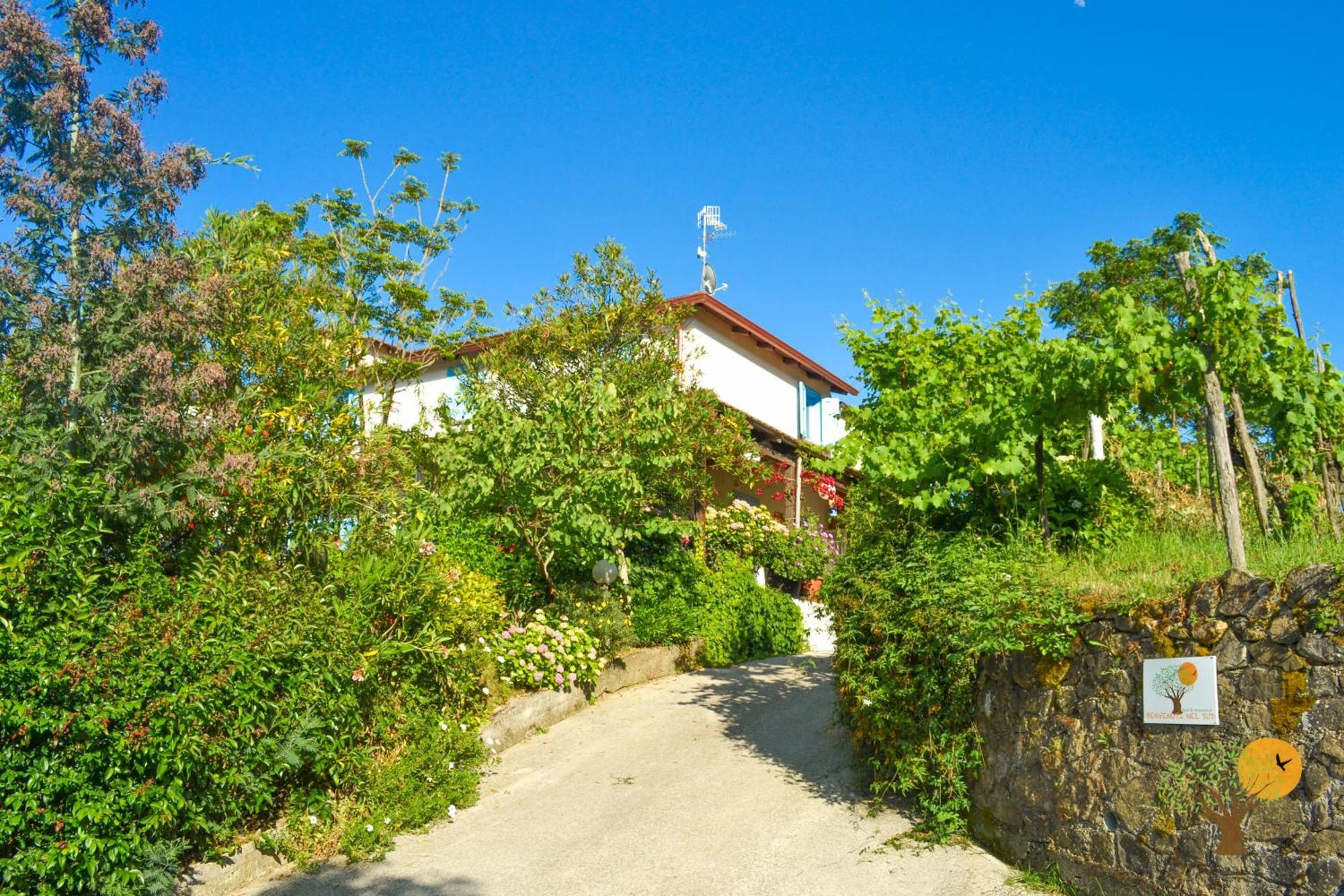 Benvenuti Nel Sud Bed & Breakfast Sessa Cilento Екстериор снимка