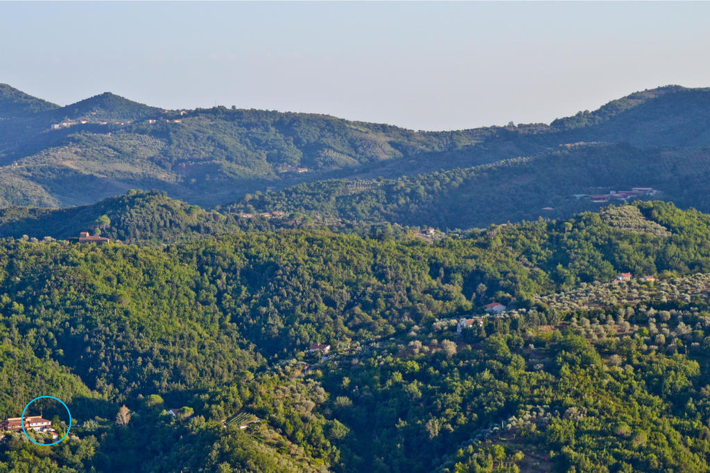 Benvenuti Nel Sud Bed & Breakfast Sessa Cilento Екстериор снимка