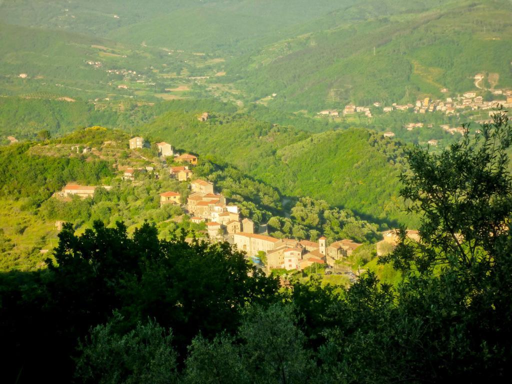 Benvenuti Nel Sud Bed & Breakfast Sessa Cilento Екстериор снимка