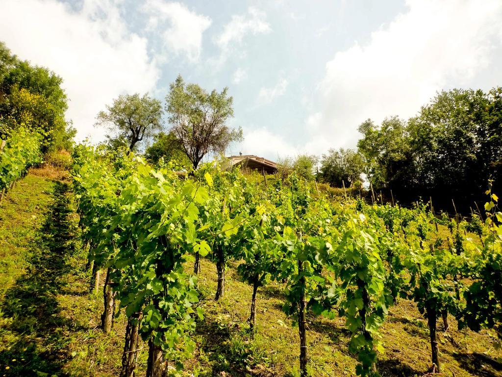Benvenuti Nel Sud Bed & Breakfast Sessa Cilento Екстериор снимка