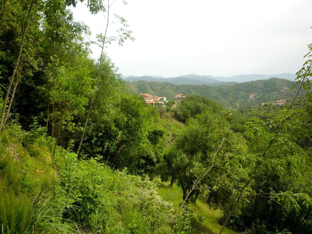 Benvenuti Nel Sud Bed & Breakfast Sessa Cilento Екстериор снимка