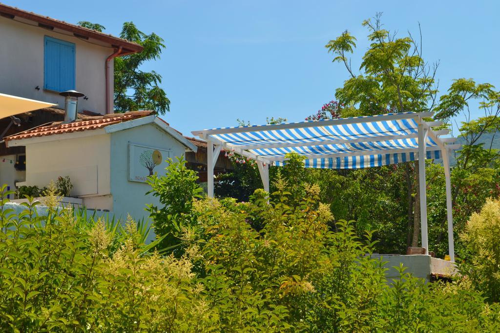 Benvenuti Nel Sud Bed & Breakfast Sessa Cilento Екстериор снимка