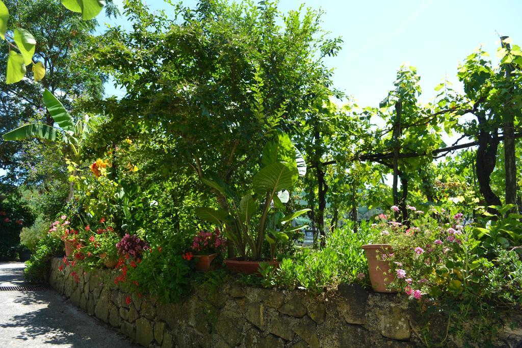 Benvenuti Nel Sud Bed & Breakfast Sessa Cilento Екстериор снимка