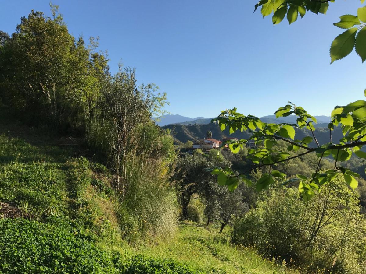 Benvenuti Nel Sud Bed & Breakfast Sessa Cilento Екстериор снимка