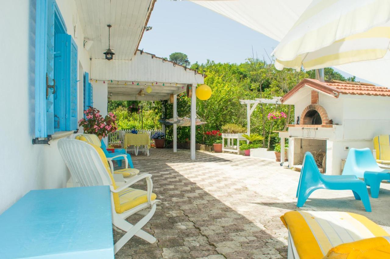 Benvenuti Nel Sud Bed & Breakfast Sessa Cilento Екстериор снимка