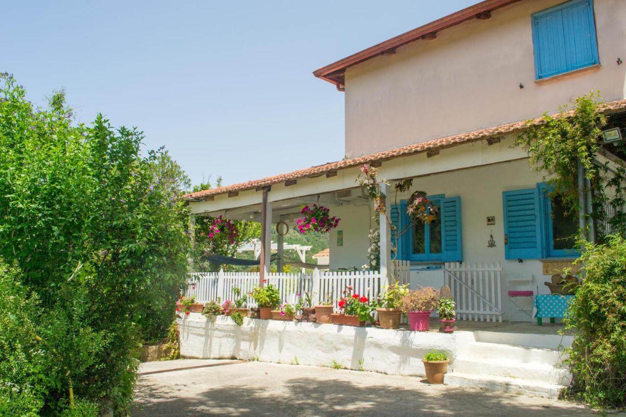 Benvenuti Nel Sud Bed & Breakfast Sessa Cilento Екстериор снимка