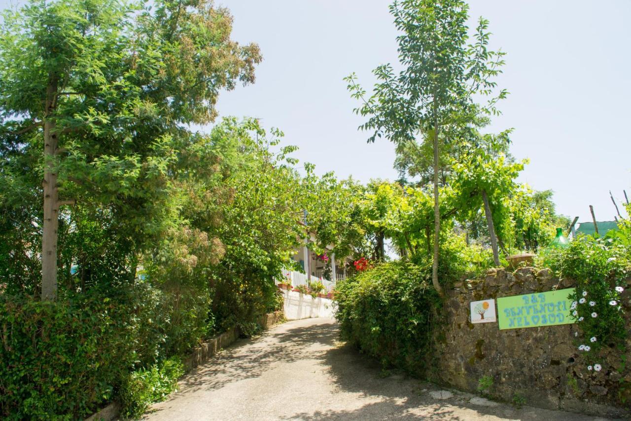 Benvenuti Nel Sud Bed & Breakfast Sessa Cilento Екстериор снимка